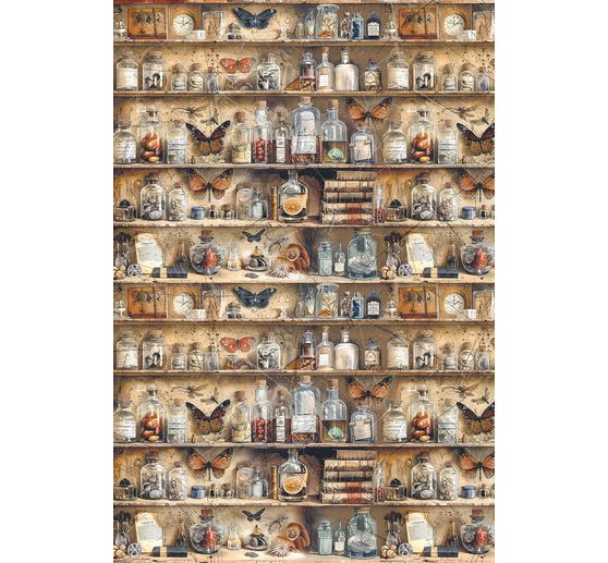 Motif straw silk assortment "Cabinet of Curiosities", set of 4