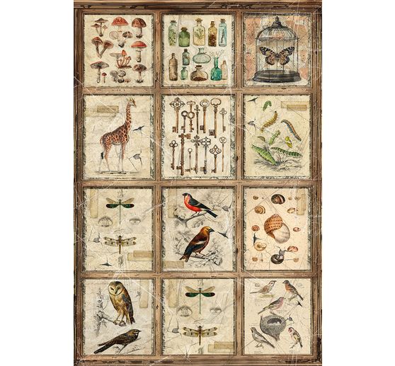 Motif straw silk assortment "Cabinet of Curiosities", set of 4