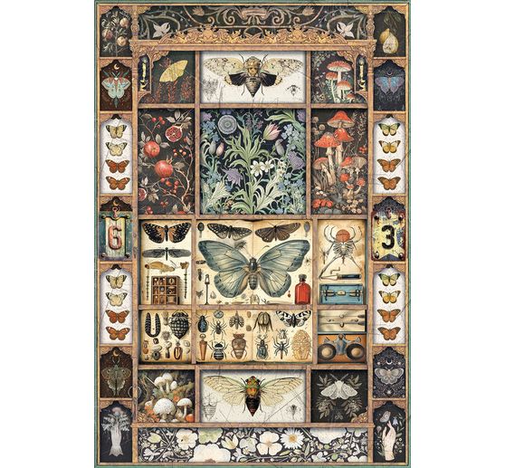 Motif straw silk assortment "Cabinet of Curiosities", set of 4