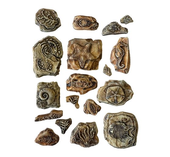 Soft modelling mould A5 "Silent Sea - Fossils"