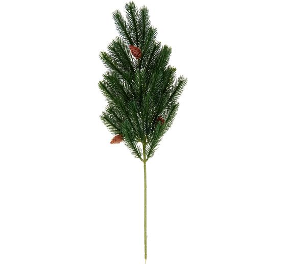 VBS Fir branch with cones