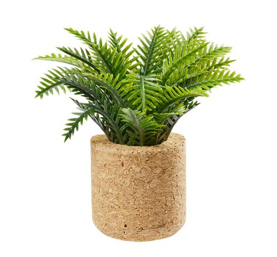 Miniature set "Houseplants"