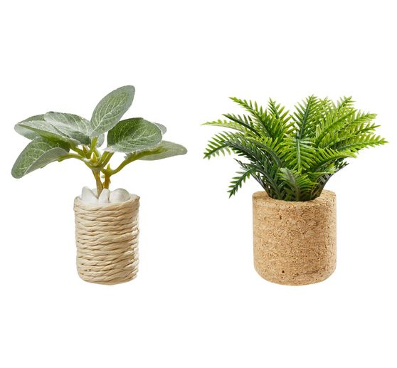 Miniature set "Houseplants"