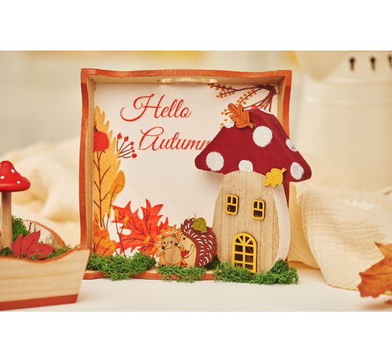 Muschio d'Islanda, 400 g