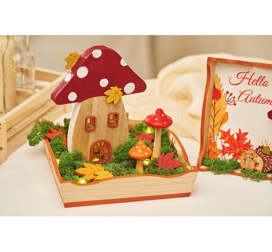 Muschio d'Islanda, 400 g