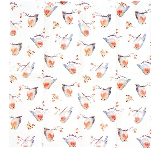 Paper handkerchiefs "Robin Family"
