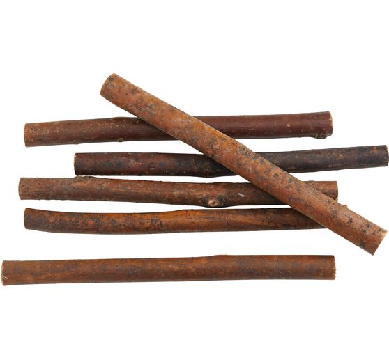 VBS Branches in a bundle