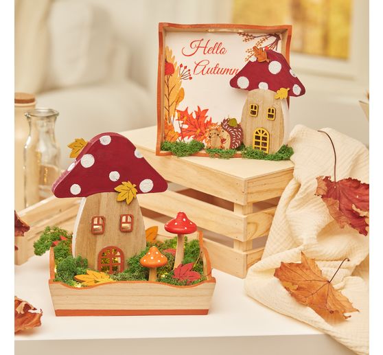 Muschio d'Islanda, 400 g