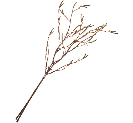 Mazzo di rami di betulla