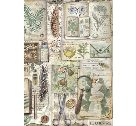 Junk Journal Book "Herbarium Silvae"
