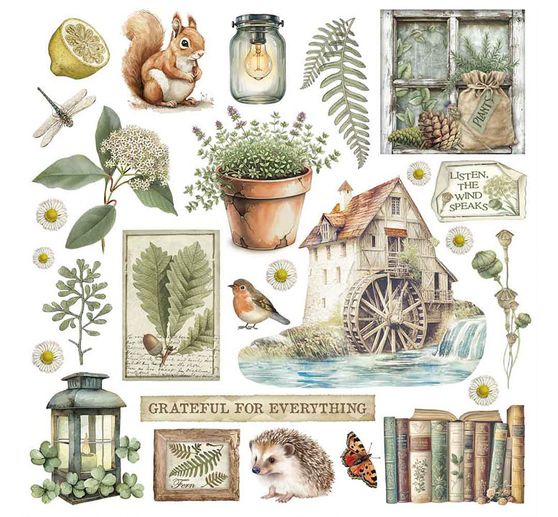 Assortimento di Rub On "Herbarium Silvae"