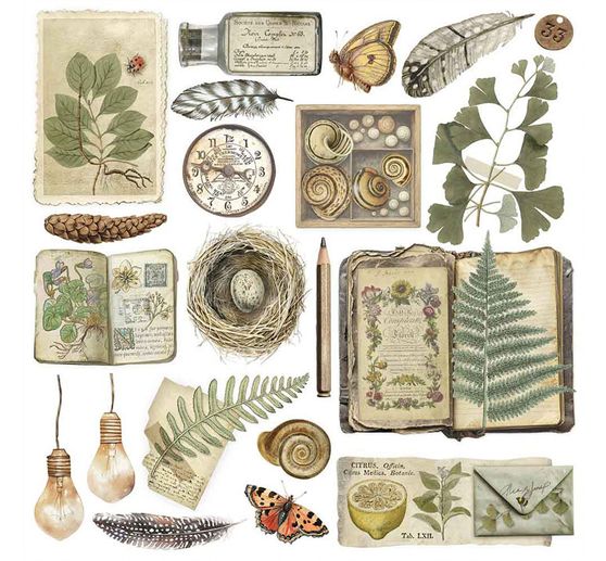 Assortimento di Rub On "Herbarium Silvae"