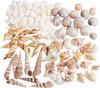 Mix di conchiglie, natural