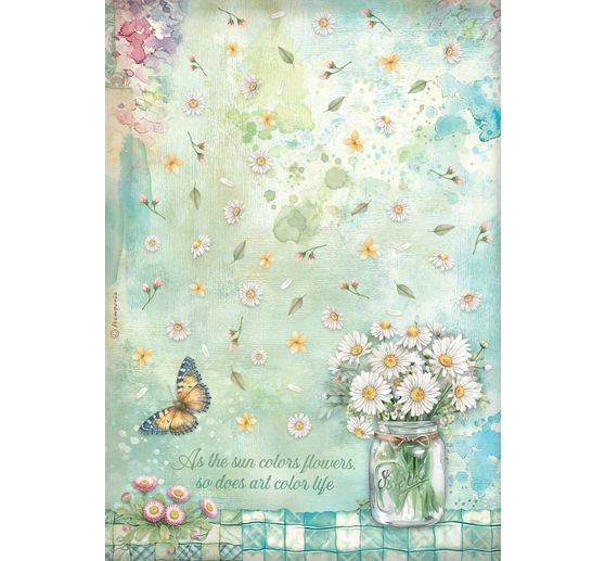 Motivo in paglia di seta assortimento "Daisy Art", set di 6 pezzi