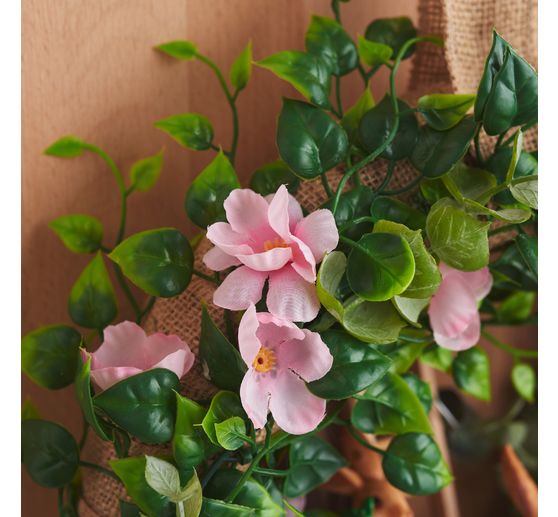 Apple blossom branch