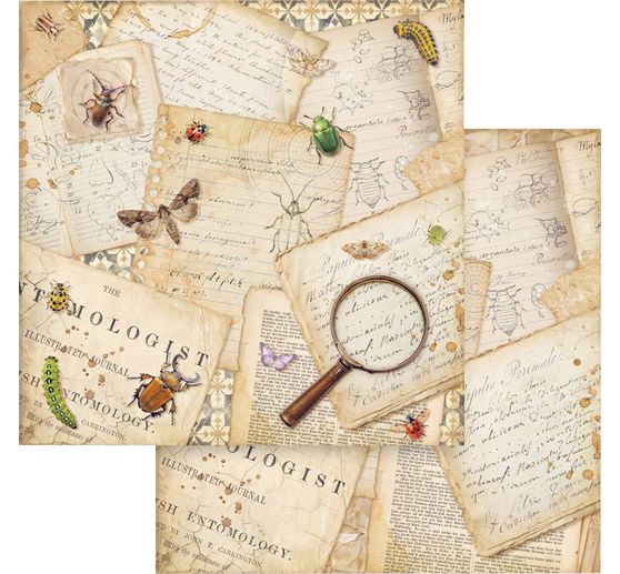 Blocco di scrapbook "All Around"