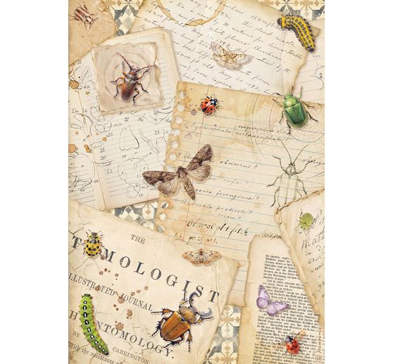 Assortimento di seta paglia con motivi "All Around", DIN A4, set di 6 pezzi