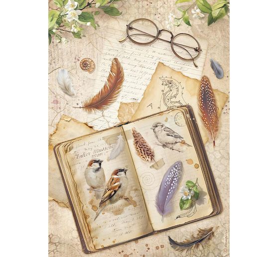 Assortimento di seta paglia con motivi "All Around", DIN A4, set di 6 pezzi