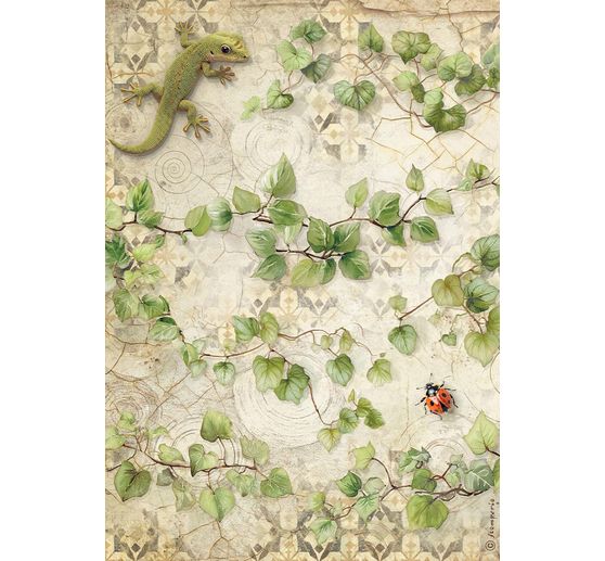 Assortimento di seta paglia con motivi "All Around", DIN A4, set di 6 pezzi