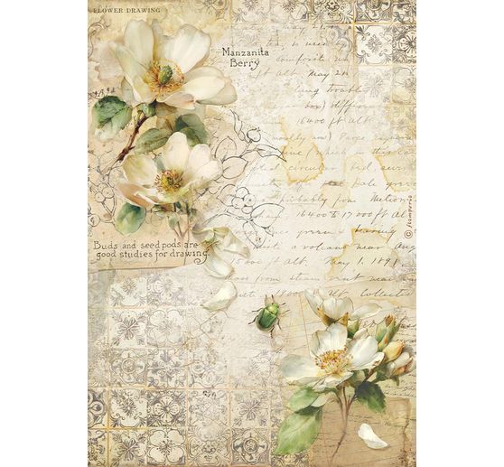 Assortimento di seta paglia con motivi "All Around", DIN A4, set di 6 pezzi