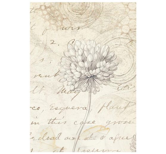Seta di paglia con motivi backgrounds "All Around", DIN A6, set di 8 pezzi