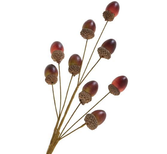 Acorn twig