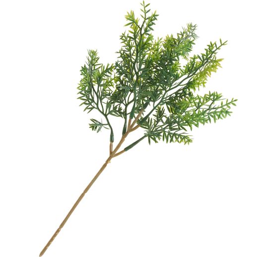 Ramo di foglie "Thymus"