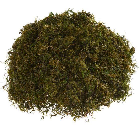 Muschio naturale, 50 g