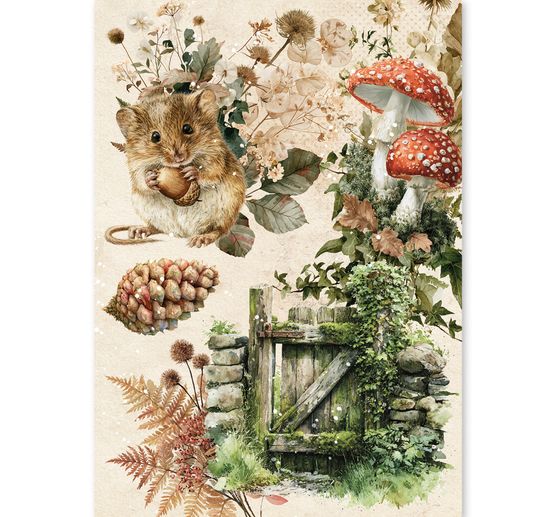Motivo in paglia di seta assortimento Ciao Bella "The Nature Journal", set di 8 pezzi