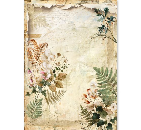 Motivo in paglia di seta assortimento Ciao Bella "The Nature Journal", set di 8 pezzi