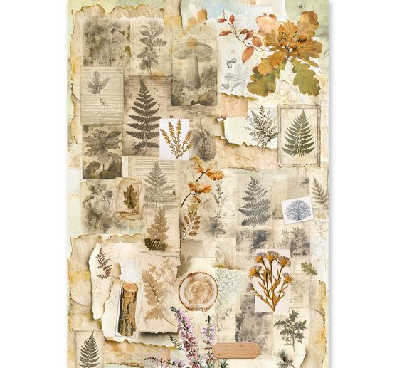 Motivo in paglia di seta assortimento Ciao Bella "The Nature Journal", set di 8 pezzi