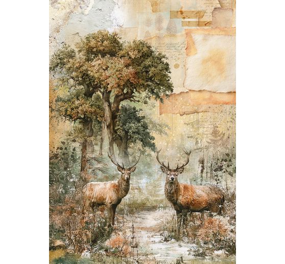 Motivo in paglia di seta assortimento Ciao Bella "The Nature Journal", set di 8 pezzi