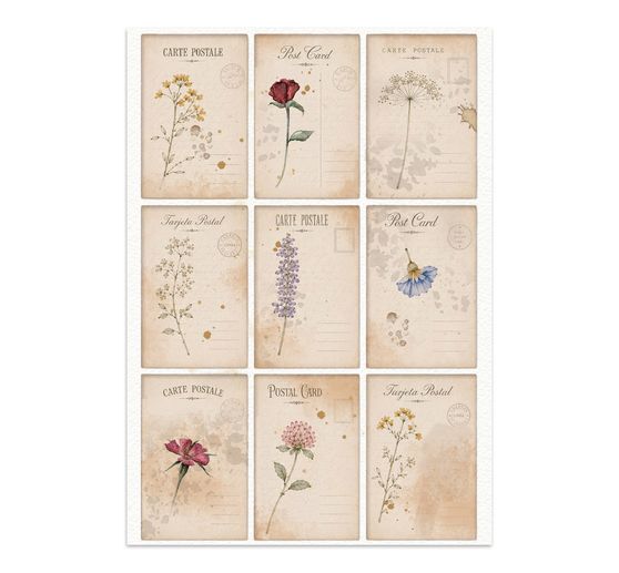 A5 Junk Journal Focus Points Stamperia "Flowers and Poems"