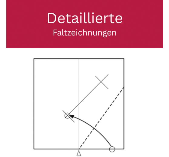 Libro "Zarte Origamisterne (kreativ.kompakt.)"