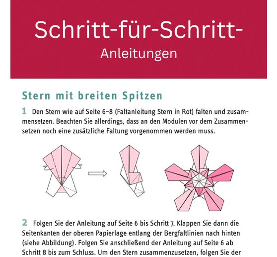 Libro "Zarte Origamisterne (kreativ.kompakt.)"