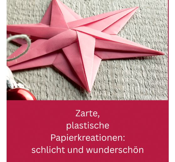 Libro "Zarte Origamisterne (kreativ.kompakt.)"