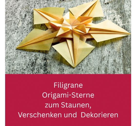 Libro "Zarte Origamisterne (kreativ.kompakt.)"