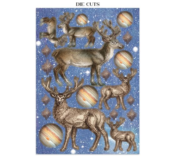 A5 Junk Journal Focus Points Stamperia "Cosmos"