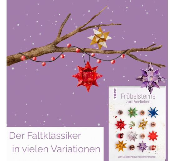 Libro "Fr&ouml;belsterne zum Verlieben"