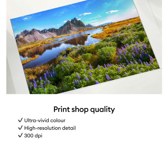 Cricut StickerPix Print Set "Photo paper + sticker sheets", 55 pcs.
