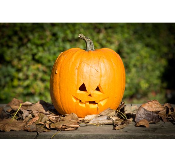 Pumpkin Carving set, 5 pcs.