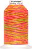 G&uuml;termann filo per cucire Miniking Multicolor, n. 120