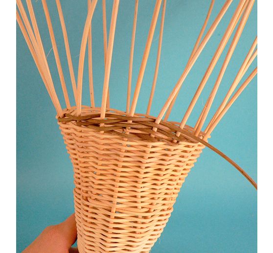 Book "Faszination Peddigrohr"