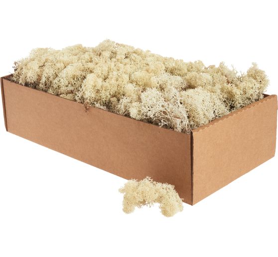 Muschio d'Islanda, 400 g