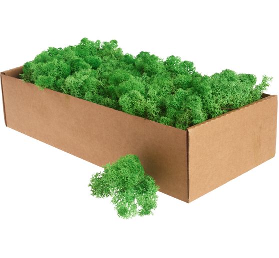 Muschio d'Islanda, 400 g