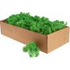 Muschio d'Islanda, 400 g Verde maggio