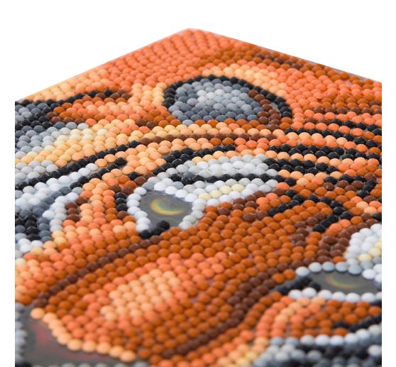 Diamond Painting "Crystal Art Card"