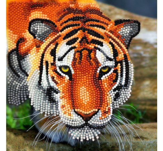 Diamond Painting "Crystal Art Card"