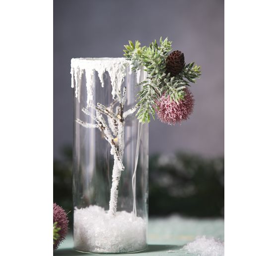 Ramo di pompon, coperto di neve