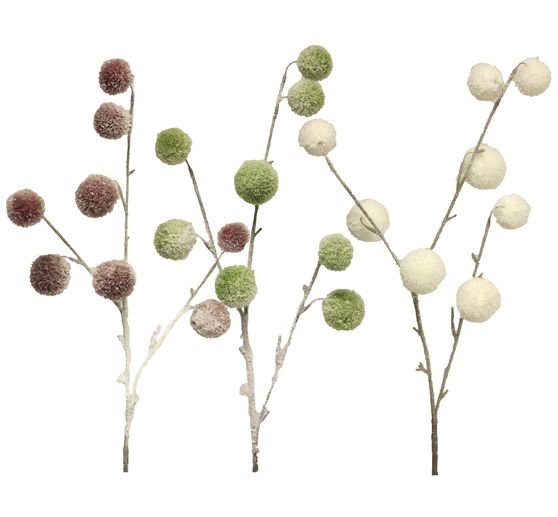 Ramo di pompon, coperto di neve